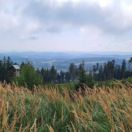 Apartament Mountains Gory Sowie Jugów 외부 사진