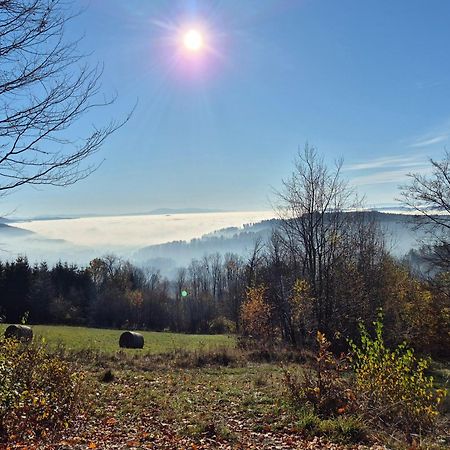 Apartament Mountains Gory Sowie Jugów 외부 사진