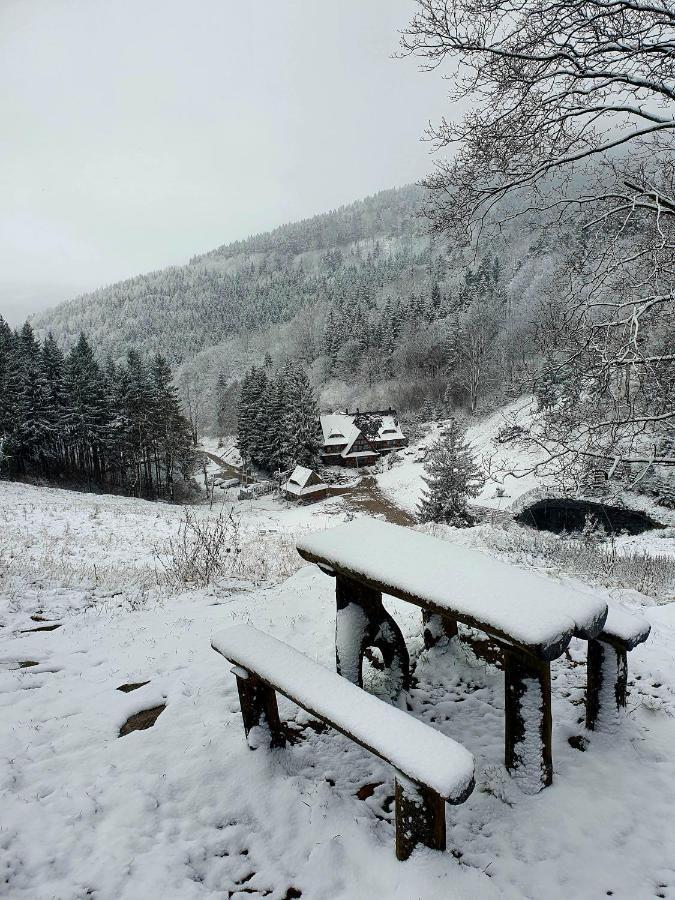 Apartament Mountains Gory Sowie Jugów 외부 사진