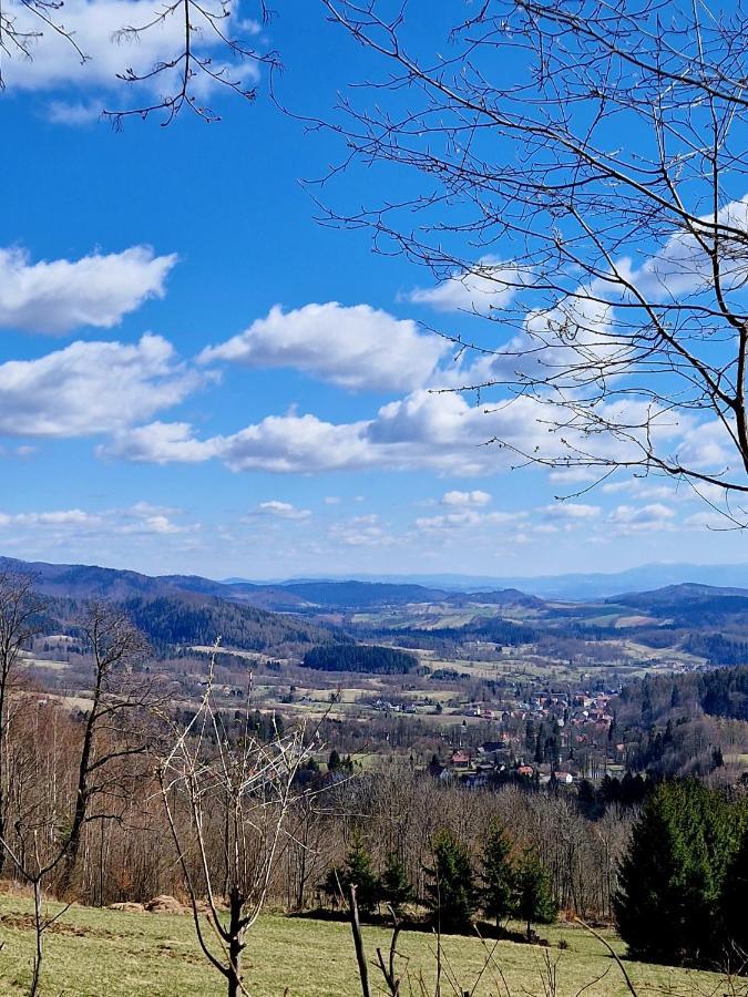 Apartament Mountains Gory Sowie Jugów 외부 사진